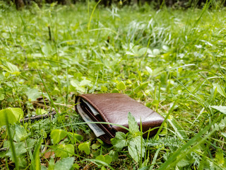 Lost wallet with money in the forest in the close-up