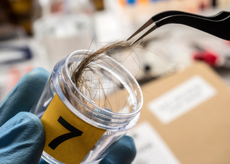 Specialized police analyzes hair of murder victim with a tweezers, conceptual image