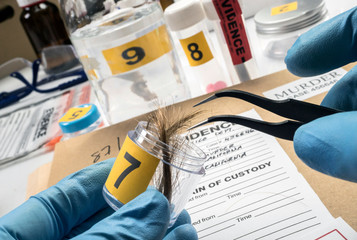 Specialized police analyzes hair of murder victim with a tweezers, conceptual image
