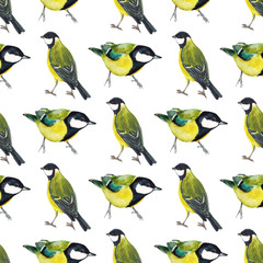 Seamless pattern with tomtits
