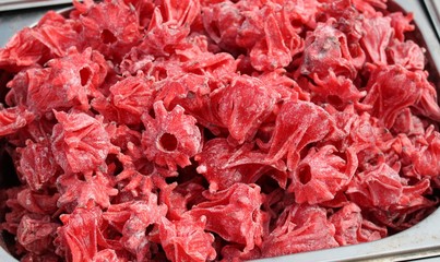 Red hibiscus flower dehydrated