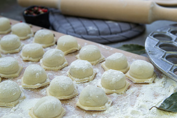 Step-by-step process of making homemade dumplings, ravioli or dumplings stuffed with minced meat using a form of ravioli or dumplings. Ready-made dumplings on a wooden Board , spices, rolling pin.
