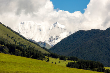 Obraz premium Green valley in Caucasus mountains in the morning. Georgia, Tusheti