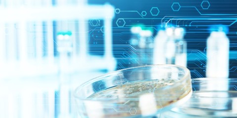 Petri dish with bacterial colonies on base, close-up view