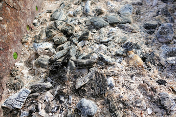 Coals in an extinct fire. Natural background