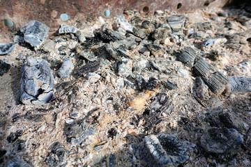 Coals in an extinct fire. Natural background