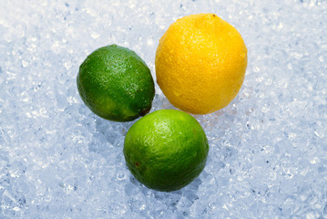 Lemon, lime and mint on ice.