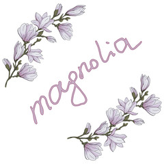 Hand drawn magnolia flower with branches and leaves in round brush and lettering vector illustration