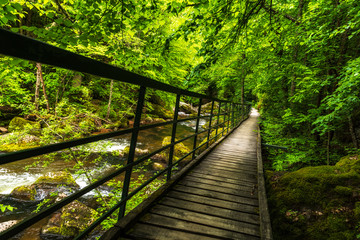 Obraz premium Kanion doliny rzeki z drewnianą ścieżką na skałach