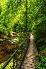 River valley canyon with wooden path on the rocks