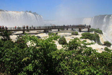 Fototapeta premium Iguazu Wasserfälle