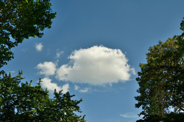 schönwetterwolke