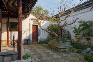 Fototapeta na wymiar Quiet place with tree and bonsai tree inside Humble Administration Park in China, Suzhou city with white wall on background, columns and closed door