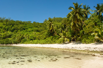 Beautiful tropical landscape of a sandy beach, Seychelles