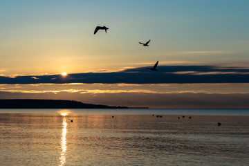 Obraz na płótnie Canvas golden sunrise on the Black Sea in Odessa