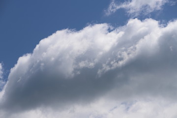 Fototapeta na wymiar Clouds in the Sky
