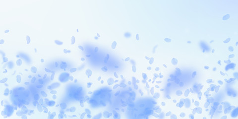 Dark blue flower petals falling down. Creative rom
