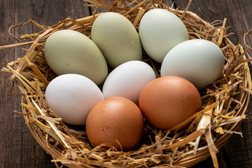 Fresh eggs of several chicken breeds