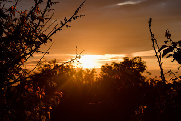 Obraz premium Beautiful sunset