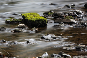 Bemooster Stein im Bach
