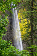 View of a beautiful waterfall flowing down a mossy cliff set in a lush green forest - Latourell Falls in Oregon's Columbia River Gorge