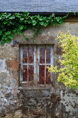 window of an abandoned and neglected Farmhouse, Brittany, France, with bars over the window and overgrown plants
