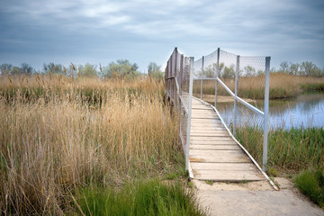 landscape whith shooting of metal fencing