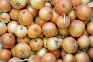 Fresh straw yellow onions on the market.