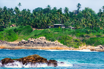 Coast of a tropical island with palm trees and a house
