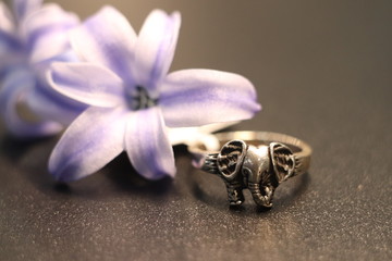 necklace on black background