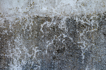 Pared vieja con moho y humedad	