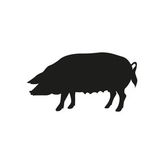 Pig icon. Vector illustration