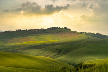 Tuscany landscape rolling hills on a sunny day