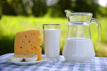 Breakfast composition of a milk jug, a glass of milk, a piece of cheese and a cut egg on a plate on a green-and-white checkered tablecloth, blurred green natural background, sunny day