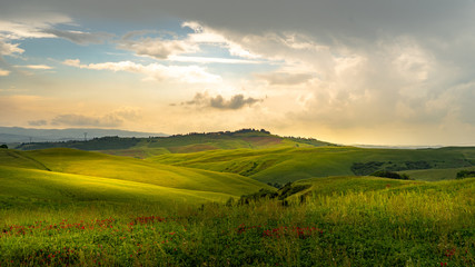 Fototapeta na wymiar Tuscany landscape rolling hills on a sunny day