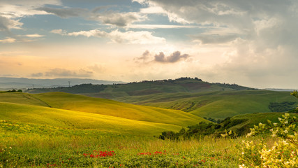 Obraz premium Tuscany landscape rolling hills on a sunny day