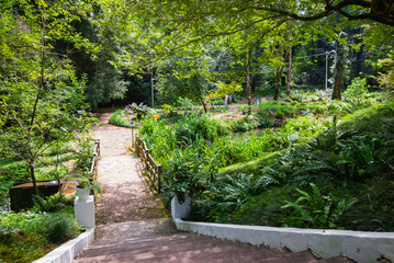 Botanical garden in the Georgia