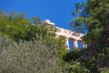 Fototapeta na wymiar Trees with Parthenon in the background
