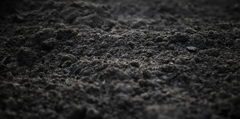Soil Earthy background close-up.