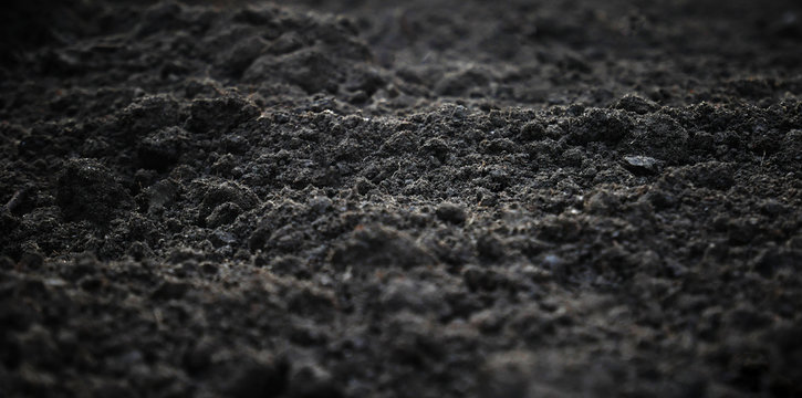Soil Background
