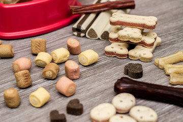 Pet food, snacks for dogs