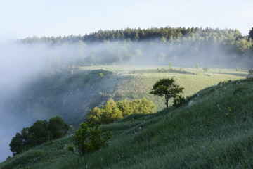 Morning mist disappearing in sun on green hills with trees