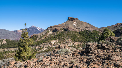 View of Teide volcano from the mountain slope