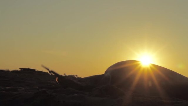 Endangered sea turtle laying eggs on the beach at sunset on the Mexican coasts