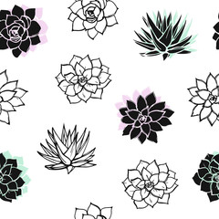 Drawing pattern with succulents