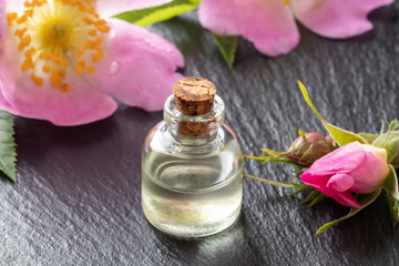 Obraz na płótnie Canvas A bottle of essential oil with dog rose flowers