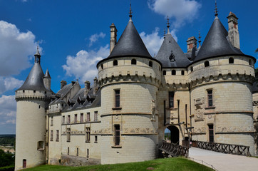 Fototapeta na wymiar Château de Chaumont, a beautiful castle in Chaumont-sur-Loire, France