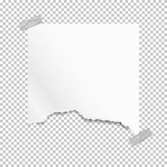 Piece of torn, ripped grainy white paper strip with soft shadow stuck with sticky tape on squared background. Vector template illustration