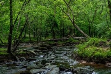 The fabulous Broad River that runs through Lake lure and Chimney Rock North Carloina.