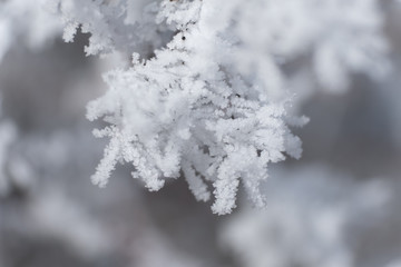 Eiskristalle Makro